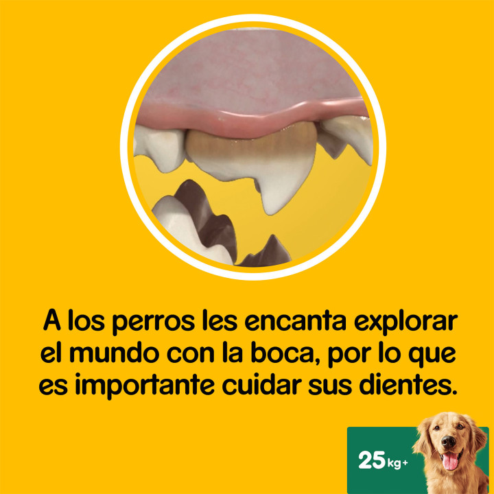 Higiene oral Dentastix para perros grandes - Kompymascotas