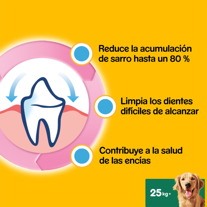 Higiene oral Dentastix para perros grandes - Kompymascotas