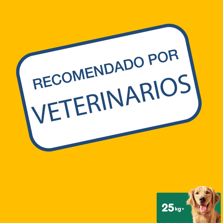 Higiene oral Dentastix para perros grandes - Kompymascotas