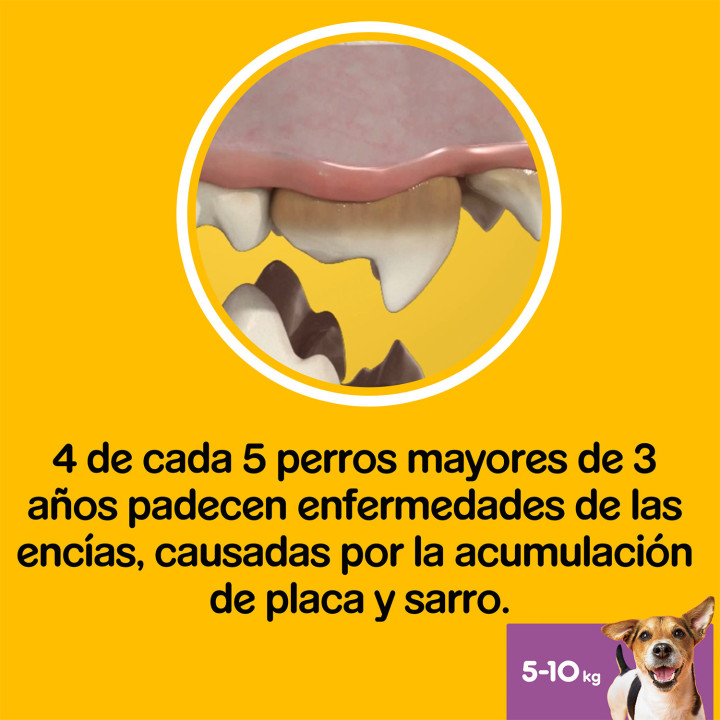 Higiene oral Dentastix fresh para perros pequeños - Kompymascotas