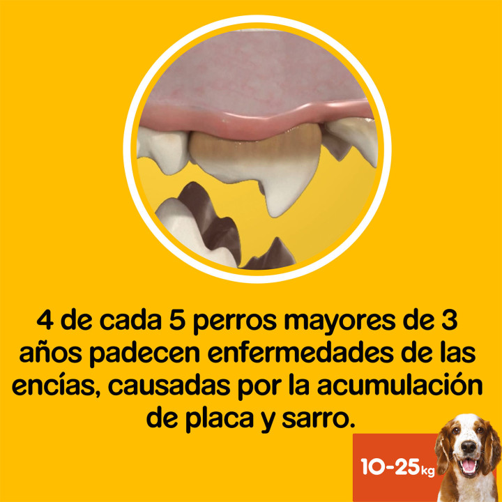 Higiene oral Dentastix fresh para perros medianos - Kompymascotas