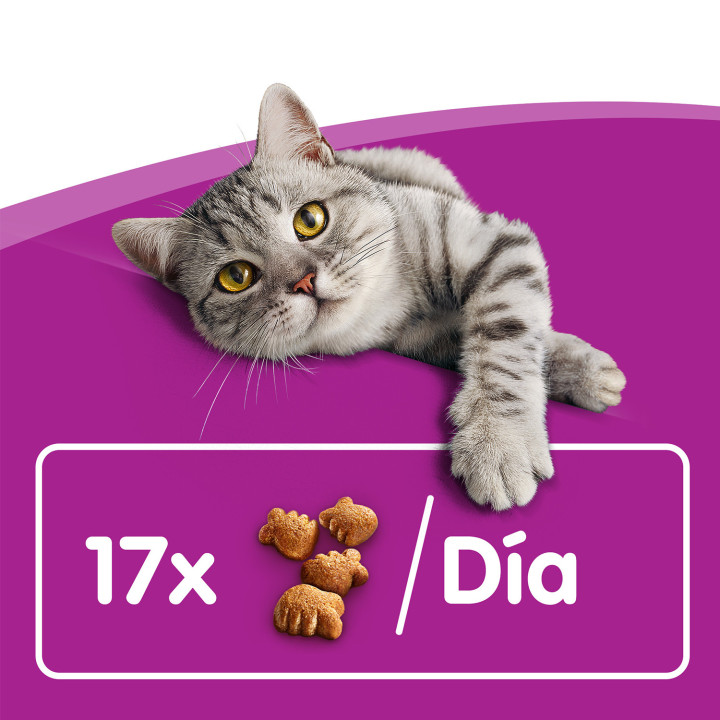 Whiskas Dentabits encías y dientes, golosinas para gato - Kompymascotas