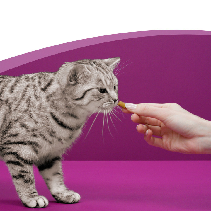 Whiskas Dentabits encías y dientes, golosinas para gato - Kompymascotas