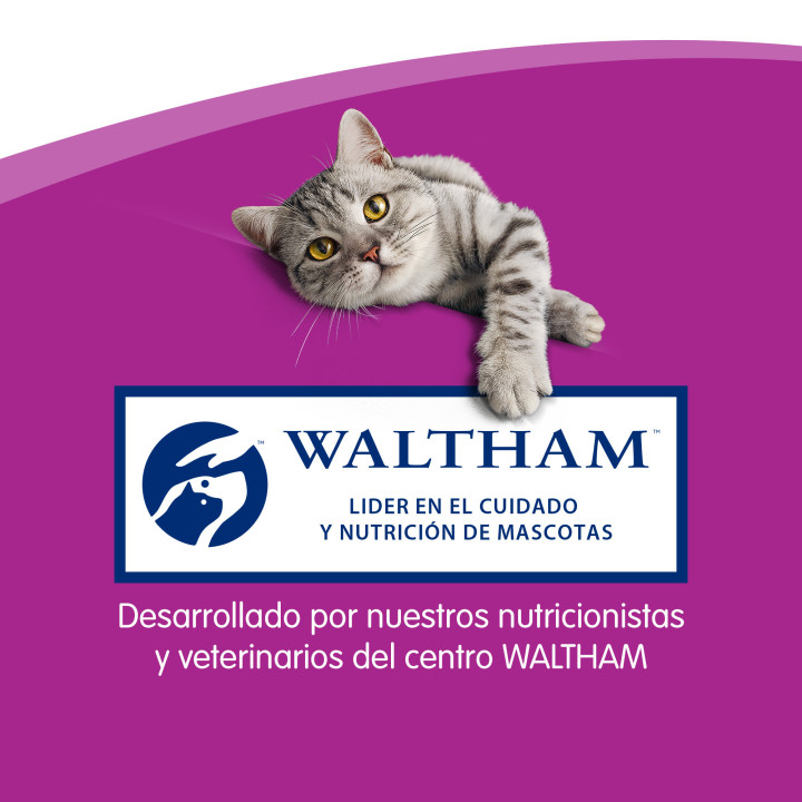 Whiskas Sticks Salmón