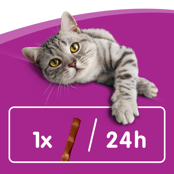Whiskas Sticks Salmón