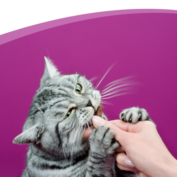 Whiskas Sticks Salmón