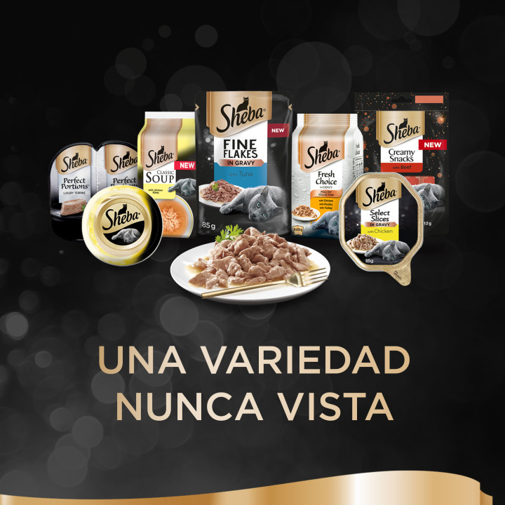 Delicatezze Gelatina Aves