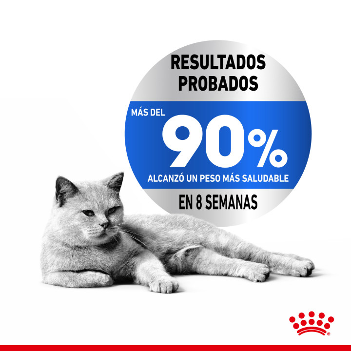 Royal Canin Light 40 Pienso para gatos - Kompymascotas
