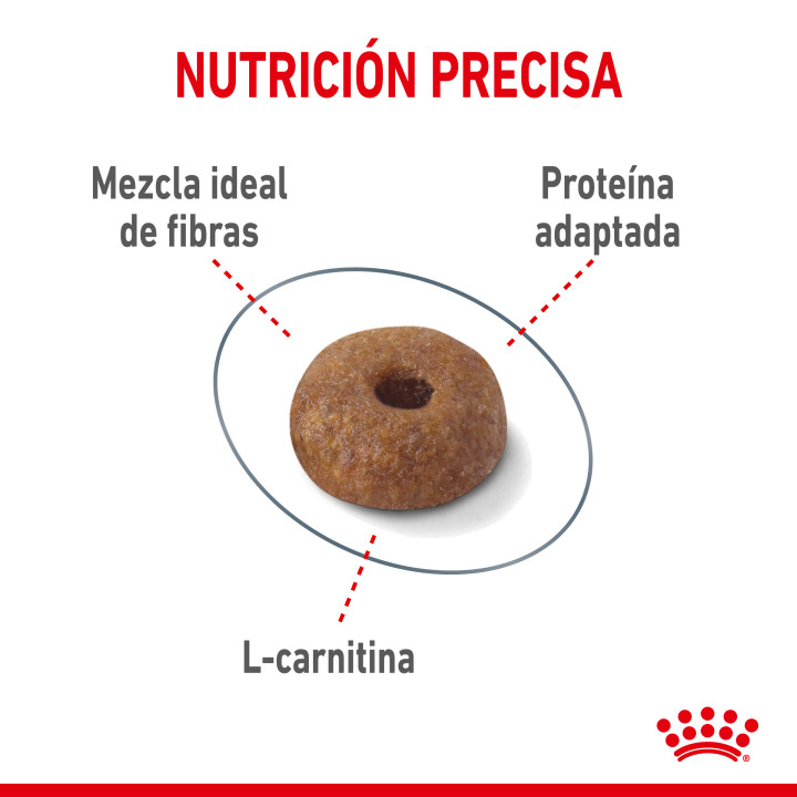 Royal Canin Light 40 Pienso para gatos - Kompymascotas