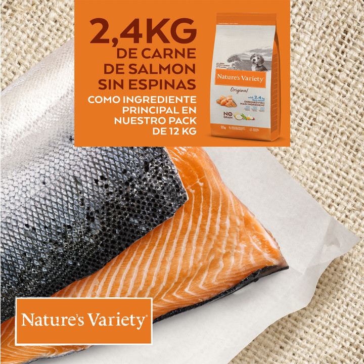 Natures Variety Original Grain Free Junior Salmón - Kompymascotas