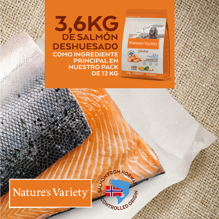 Natures Variety Selected Grain Free Salmón - Kompymascotas