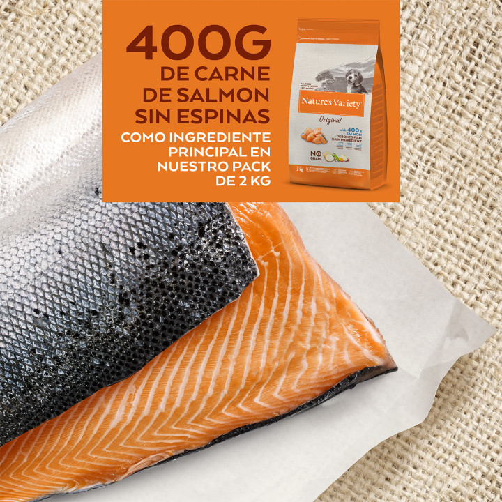 Natures Variety Original Grain Free Junior Salmón - Kompymascotas