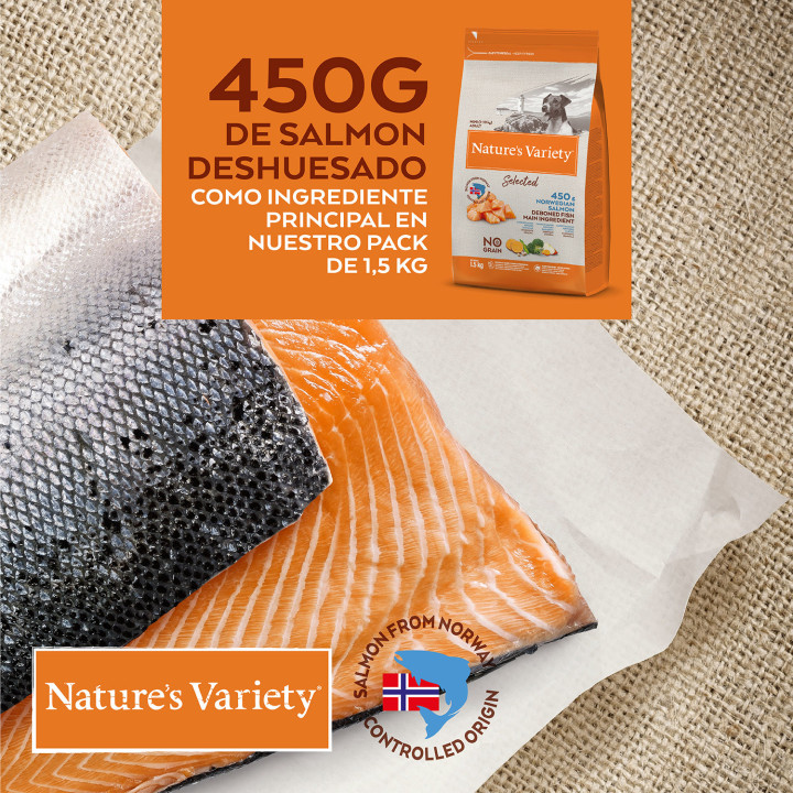Natures Variety Selected Grain Free Salmón - Kompymascotas
