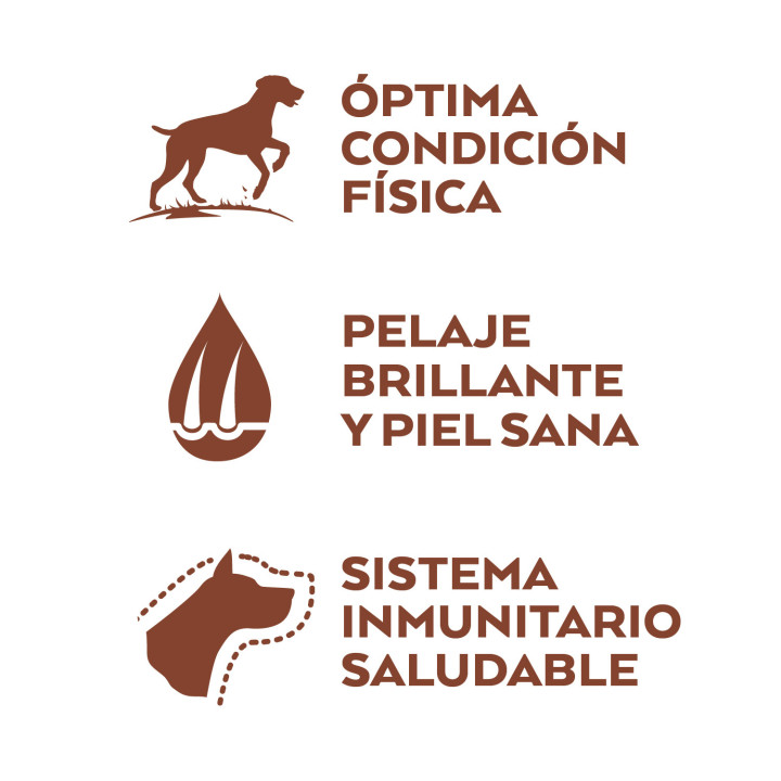 Natures Variety Selected Grain Free Salmón - Kompymascotas