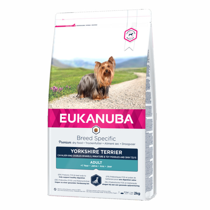 Eukanuba Yorkshire Terrier, pienso para perros - Kompymascotas