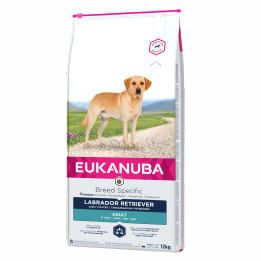 Eukanuba Labrador Retriever, piensos para perros - Kompymascotas