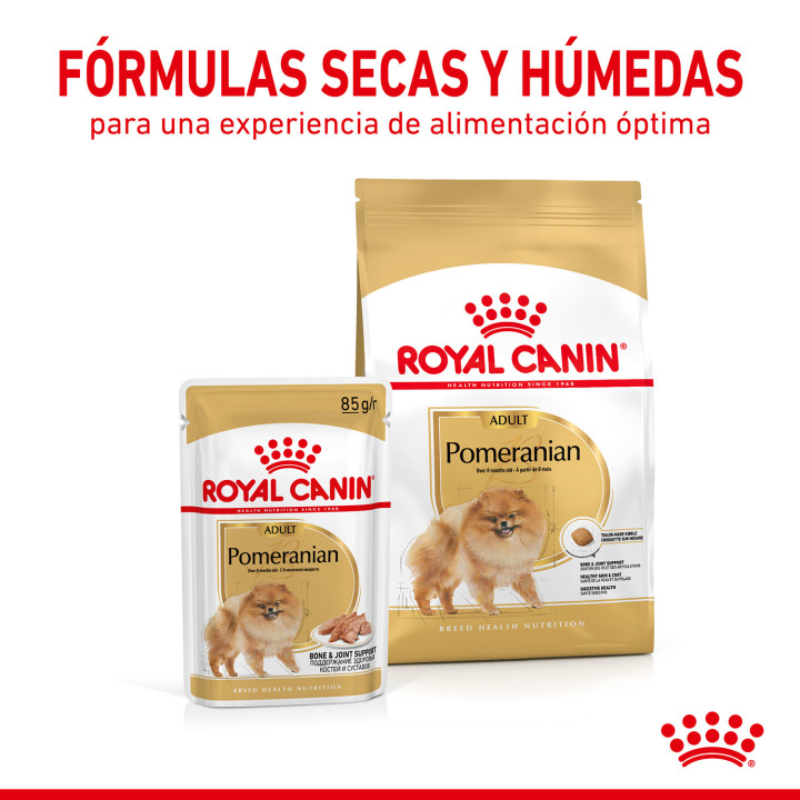 Royal Canin Pomeranian Adult - Kompymascotas