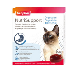 Nutrisupport gato digestion-PiensoyMascotas