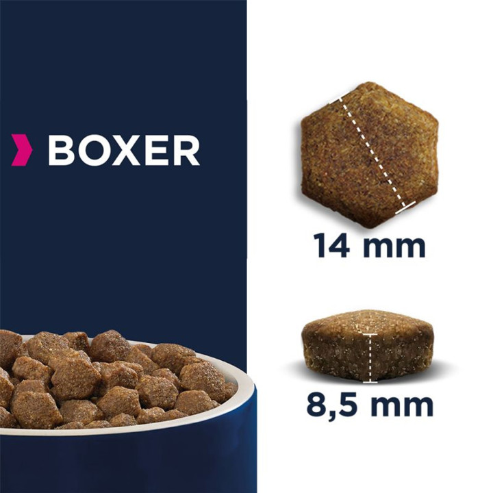 Eukanuba Boxer, piensos para perros - Kompymascotas