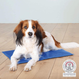 Manta Refrescante, Confort y denscanso para perros - Kompymascotas