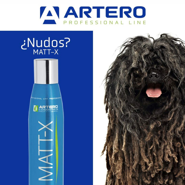 Artero MATT-X