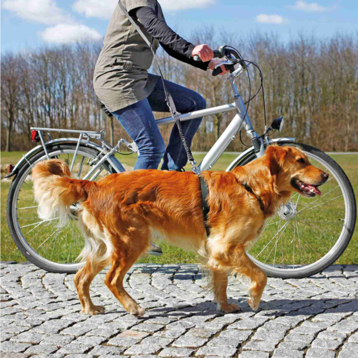 Ramal bicicleta/footing-Kompymascotas