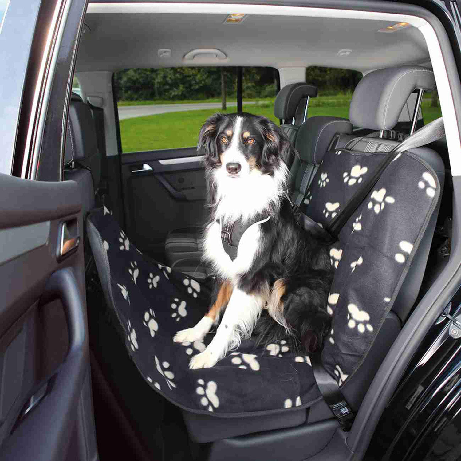 Accesorios para el coche