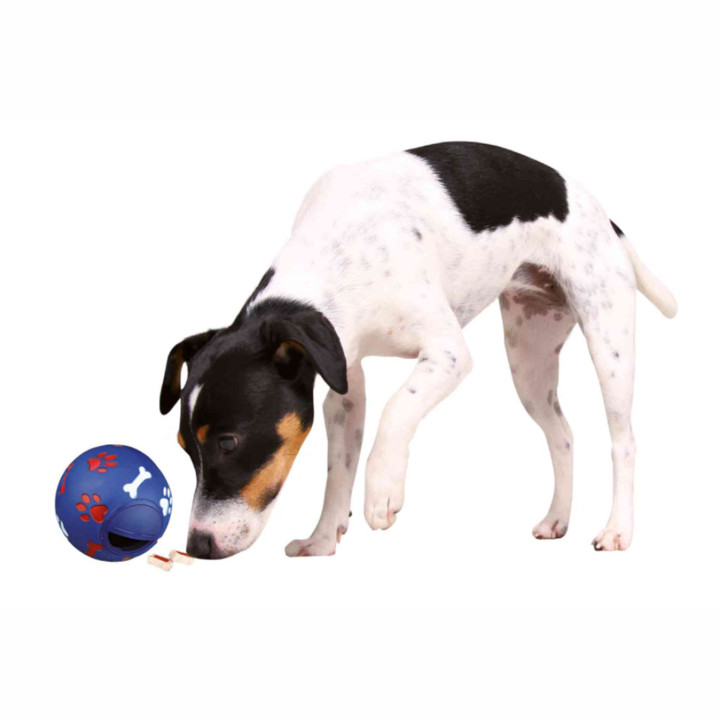 Pelota Snacks Dog Activity