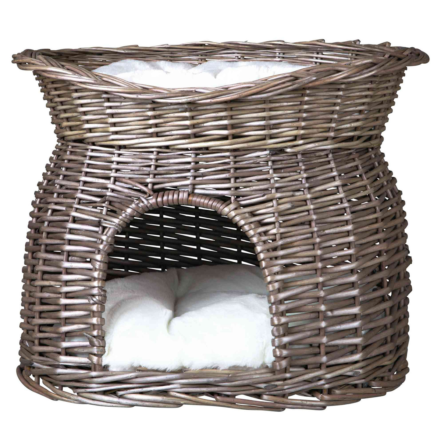 Cuevas gatos