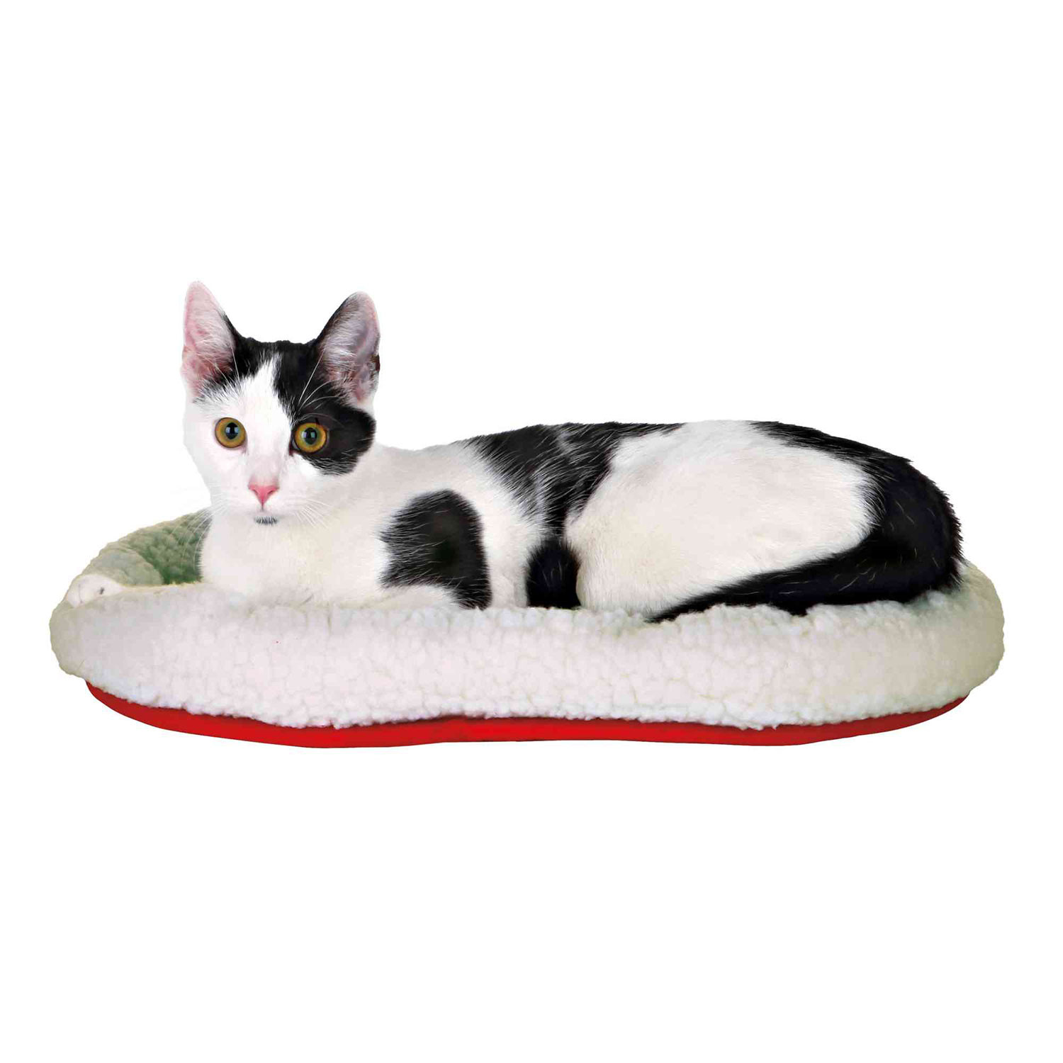 Puertas, confort y descanso gatos