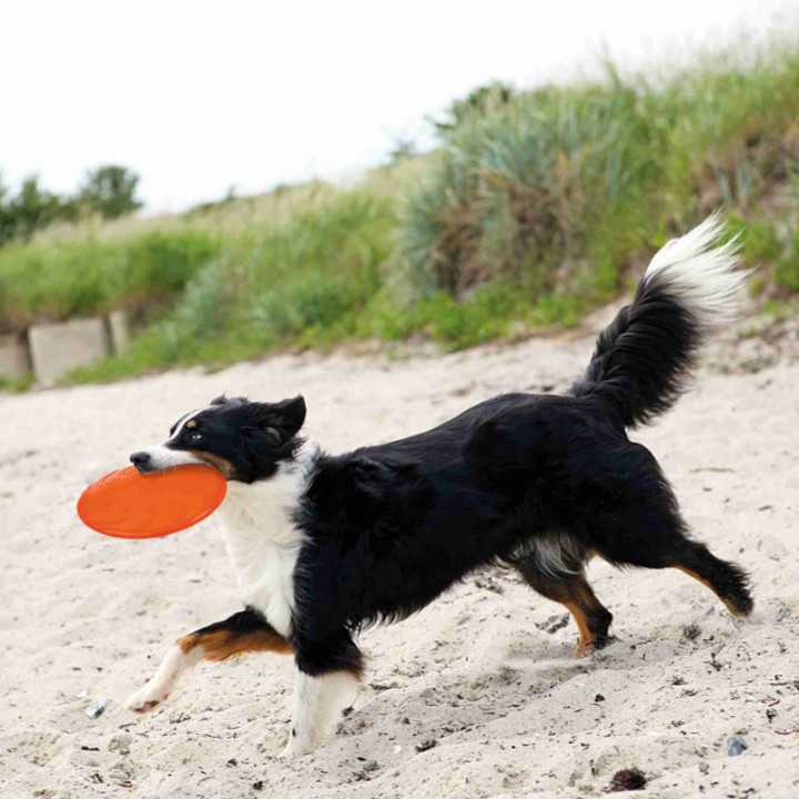 Dog Disc, Caucho natural