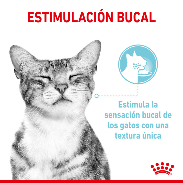 Royal Canin Sensory Feel Salsa - Kompymascotas