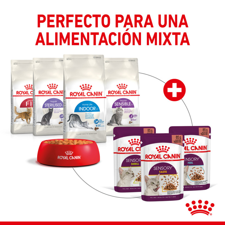 Royal Canin Sensory Feel Salsa - Kompymascotas
