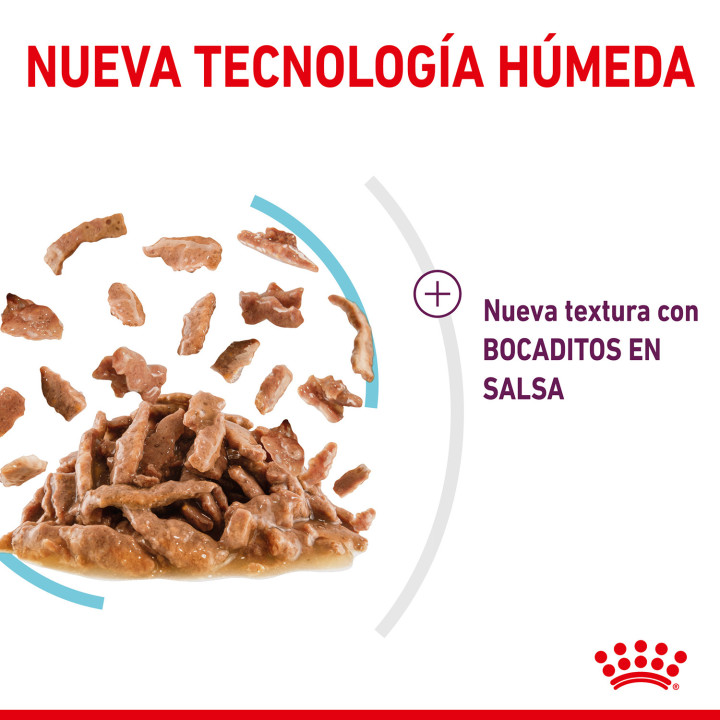 Royal Canin Sensory Feel Salsa - Kompymascotas