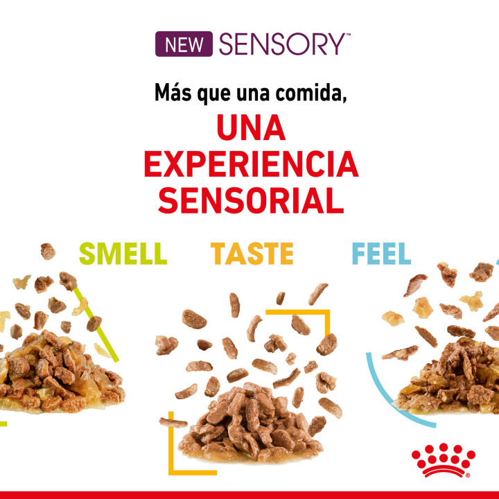Royal Canin Sensory Feel Salsa - Kompymascotas