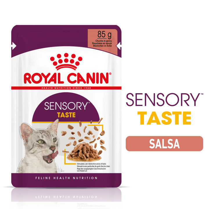Royal Canin Sensory Taste Salsa - Kompymascotas