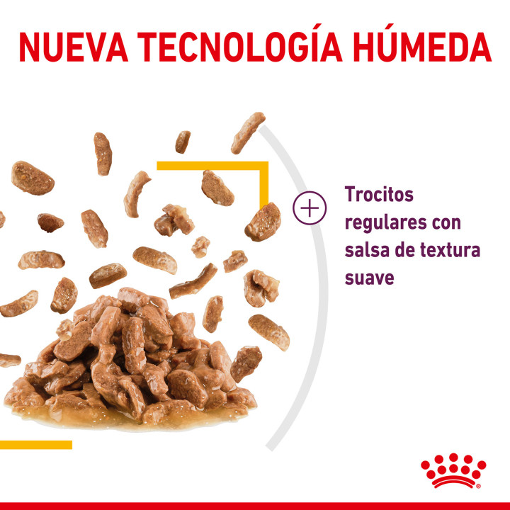 Royal Canin Sensory Taste Salsa - Kompymascotas
