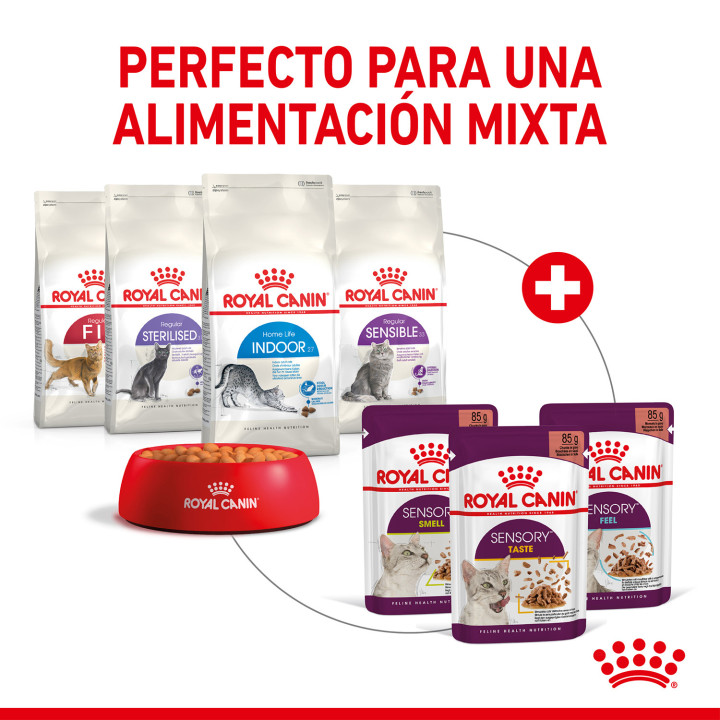 Royal Canin Sensory Taste Salsa - Kompymascotas