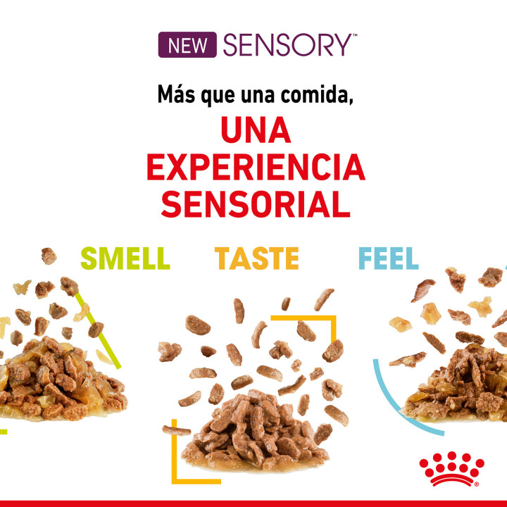 Royal Canin Sensory Taste Salsa - Kompymascotas