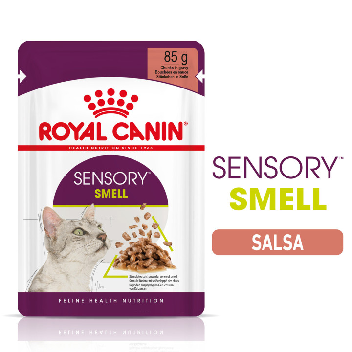 Royal Canin Sensory Smell - Kompymascotas