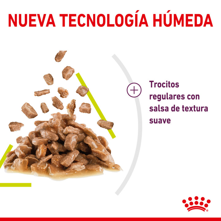 Royal Canin Sensory Smell - Kompymascotas