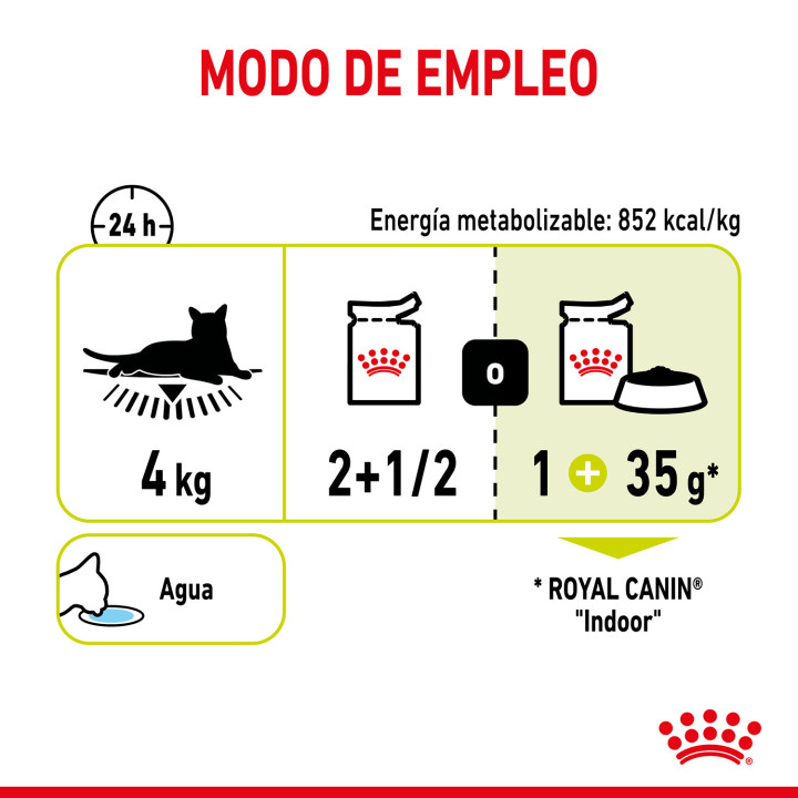 Royal Canin Sensory Smell - Kompymascotas