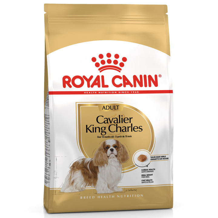 Royal Canin Cavalier King Charles pienso para perro adulto  - Kompymascotas