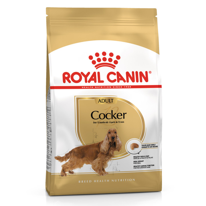 Royal Canin Cocker pienso para perro adulto  - Kompymascotas