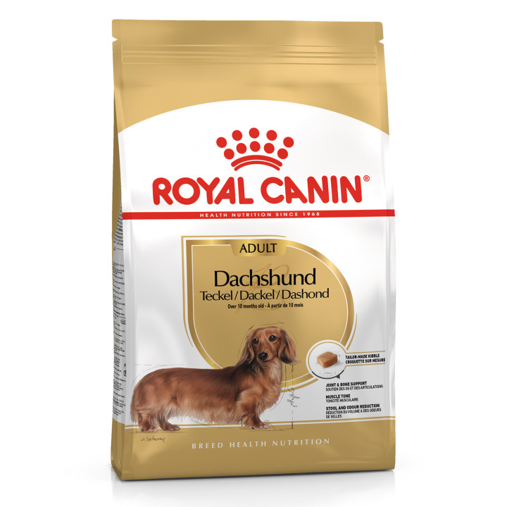 Royal Canin Dachshund pienso para perro teckel adulto  - Kompymascotas