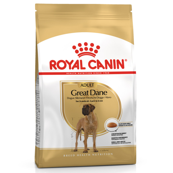 Royal Canin Great Dane pienso para gran danés adulto  - Kompymascotas