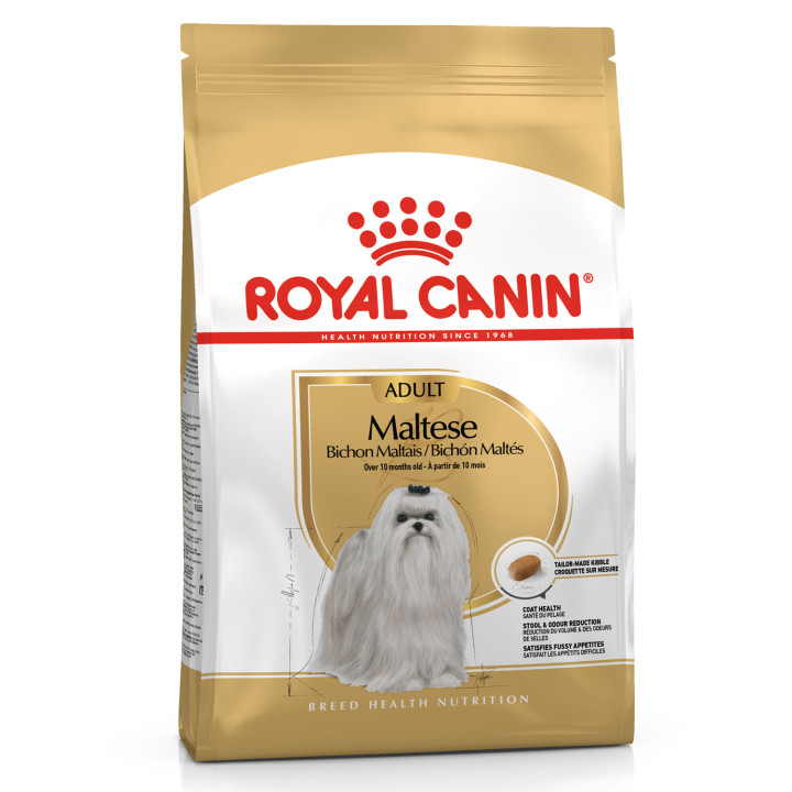 Royal Canin Maltese pienso para maltés adulto  - Kompymascotas