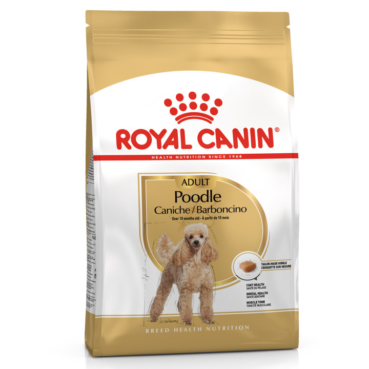 Royal Canin Poodle pienso para cachiche adulto  - Kompymascotas