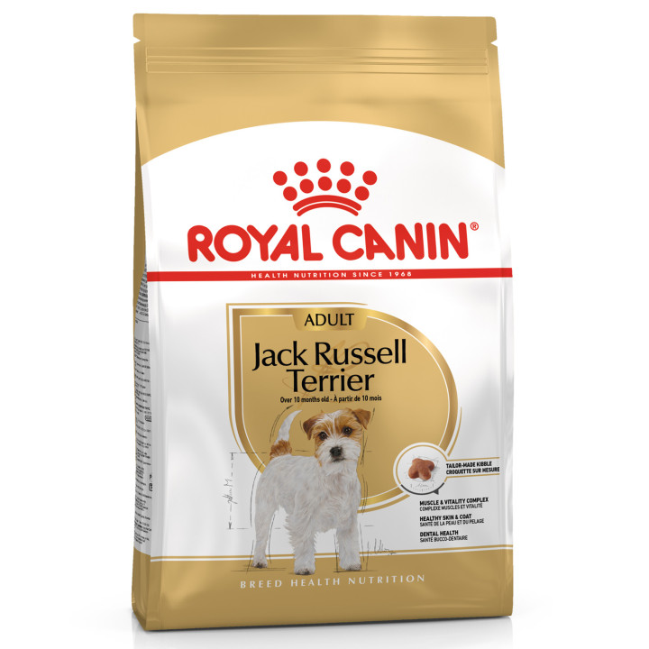Royal Canin Jack Russel pienso para perro adulto  - Kompymascotas
