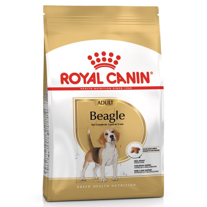 Royal Canin Beagle pienso para perro adulto  - Kompymascotas